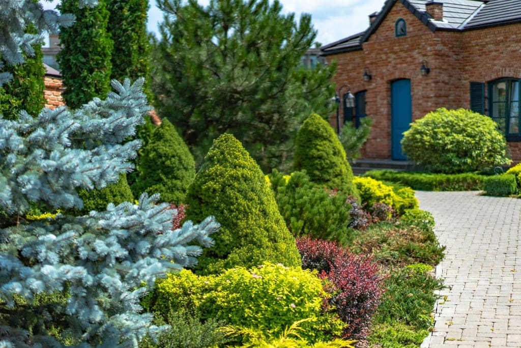 Popular plants and materials in Redding's climate
