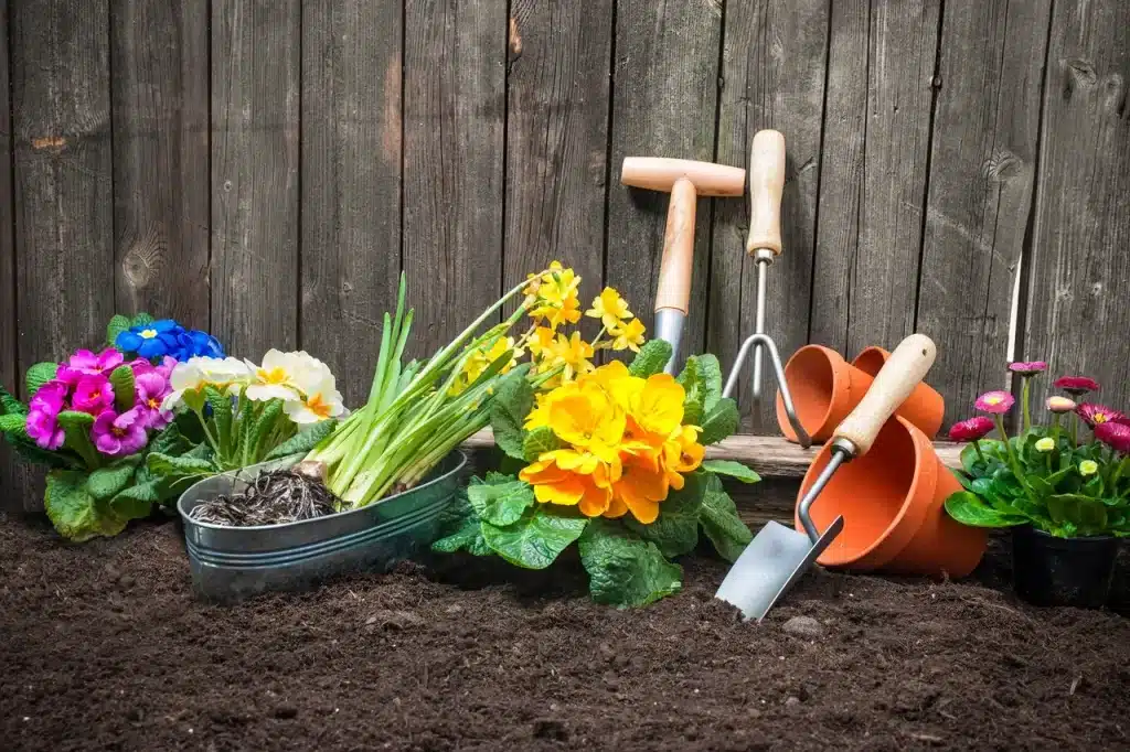 Popular plants and materials for Redding's climate