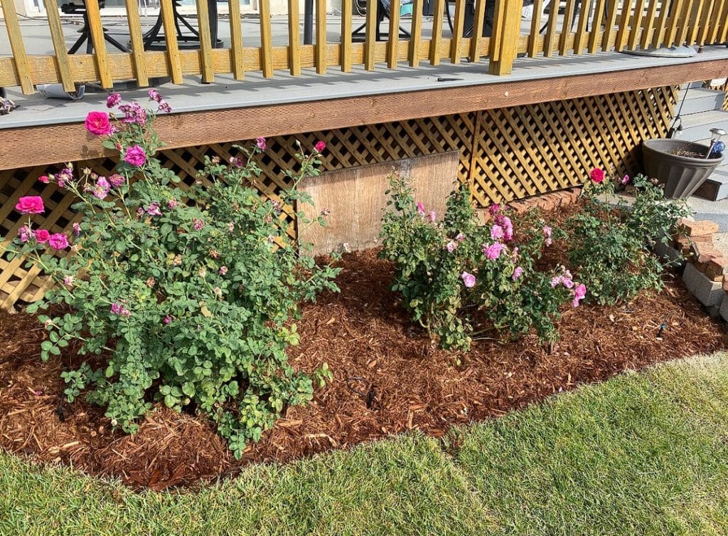 creating beautiful outdoor space in Redding, CA